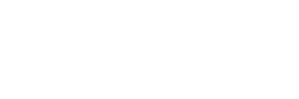 BitFleet